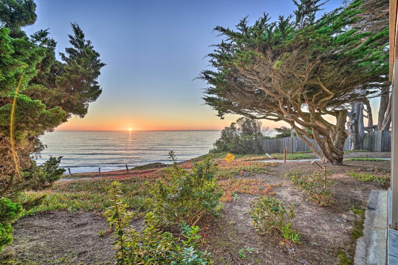 Cliffside Pacifica Hideaway Unbeatable View! Apartment ภายนอก รูปภาพ