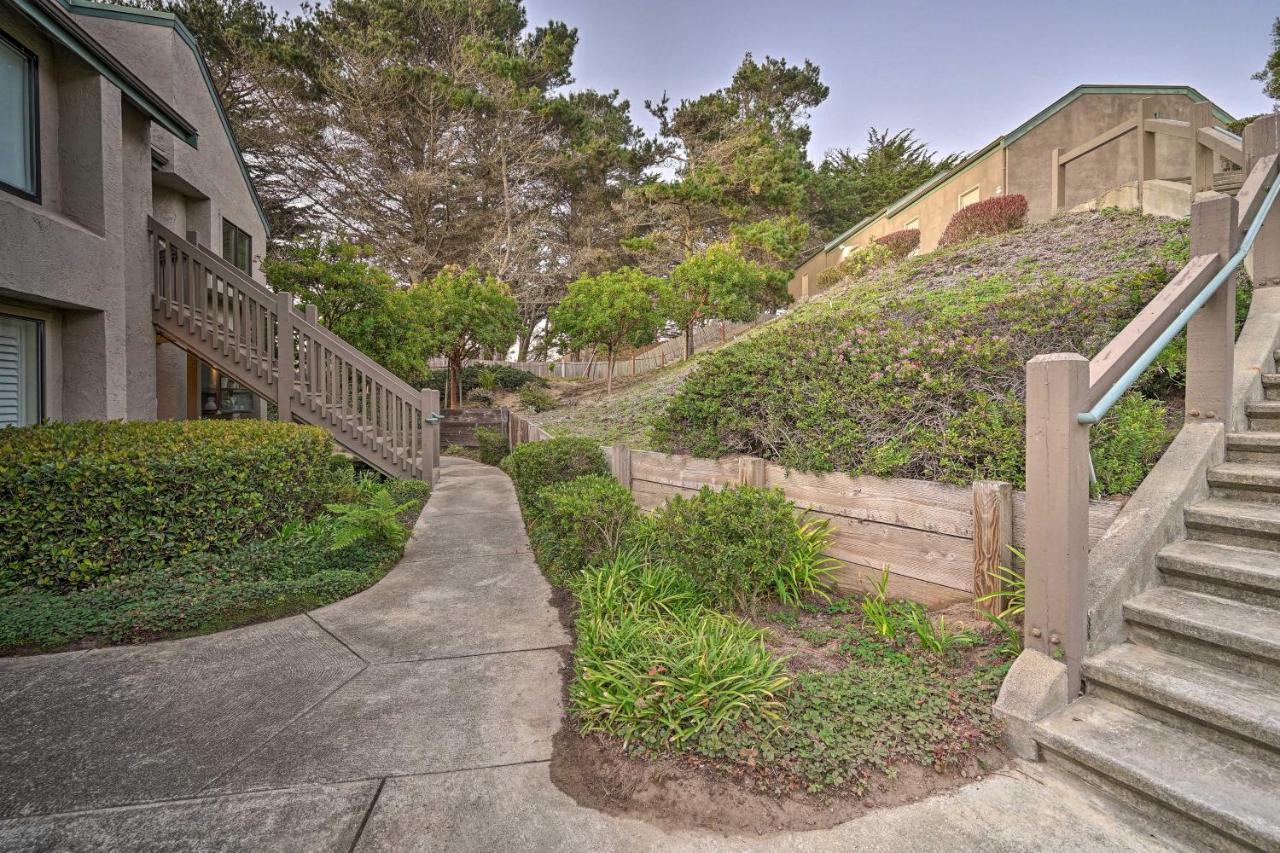 Cliffside Pacifica Hideaway Unbeatable View! Apartment ภายนอก รูปภาพ